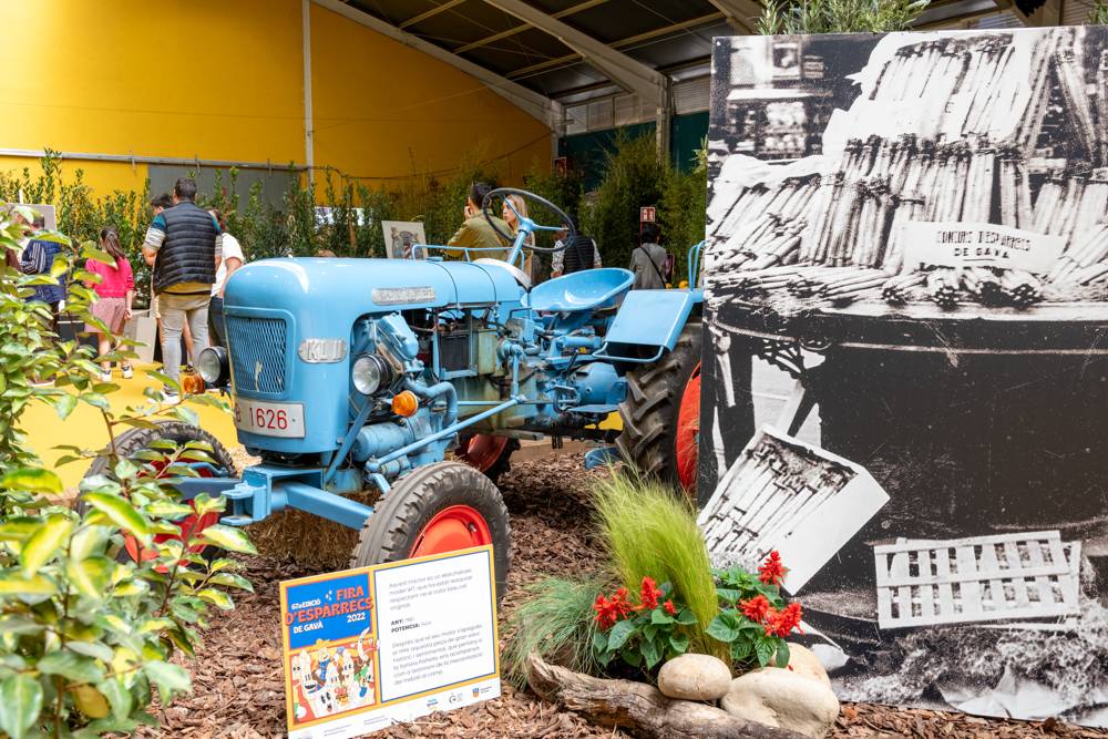 71a Fira d`Espàrrecs de Gavà