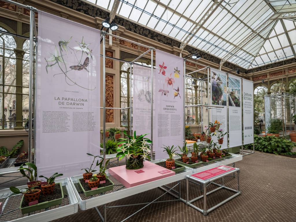 Exposició Darwin Botànic