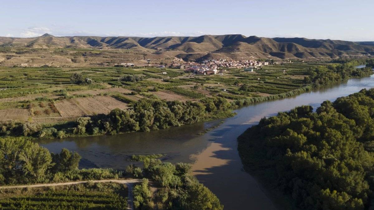 Fira de la Pesca, Natura i Productes de Proximitat