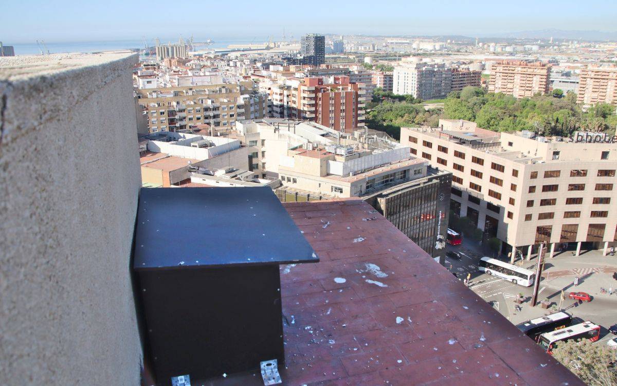Instal·len caixes niu en diferents punts de Tarragona per afavorir la nidificació d'aus rapinyaires