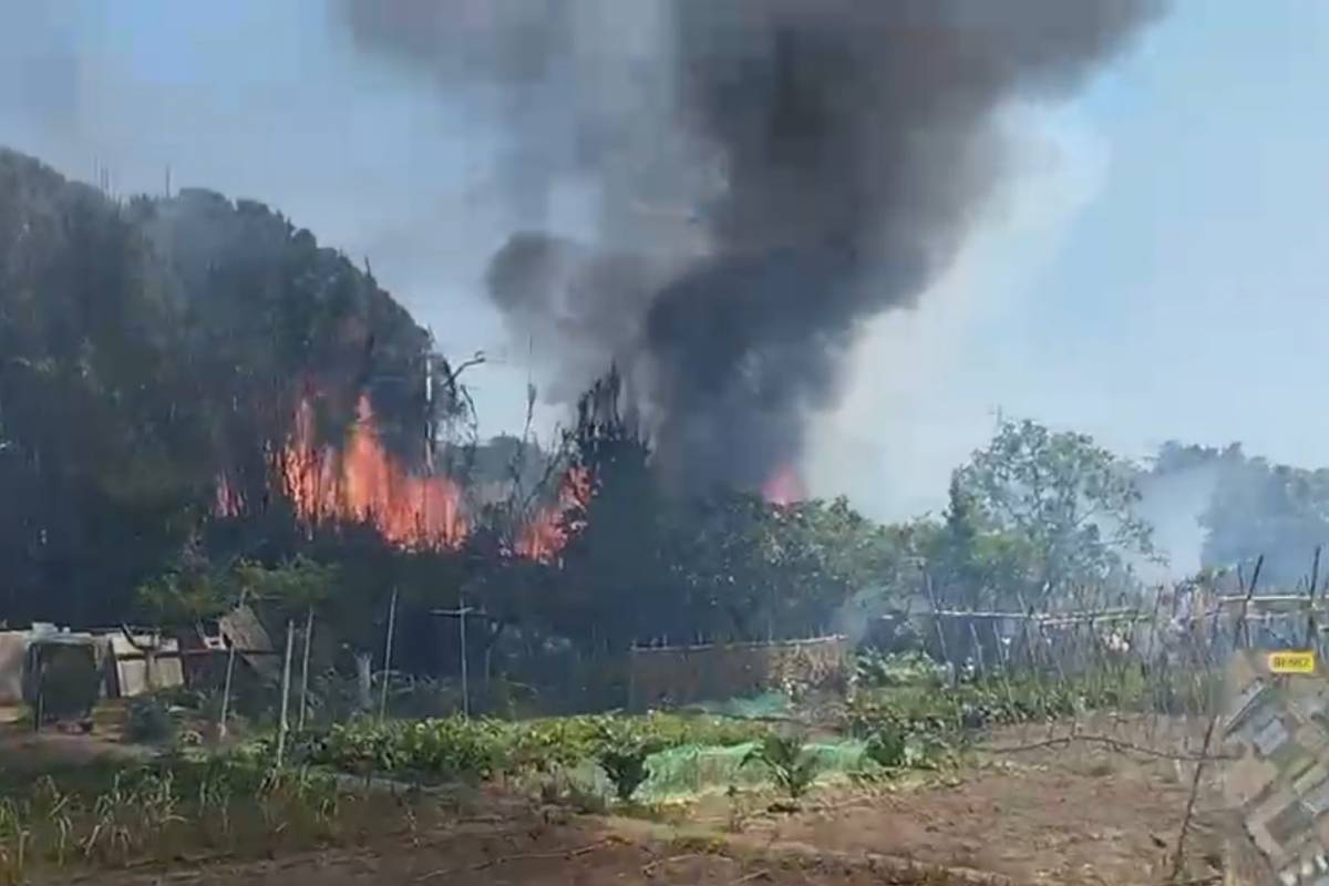Apaguen un incendi al polígon industrial de Sant Feliu de Buixalleu