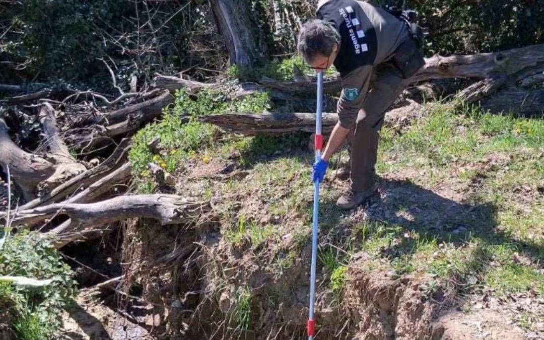 Denuncien un individu per contaminar amb purins una riera de Sant Pere de Torelló