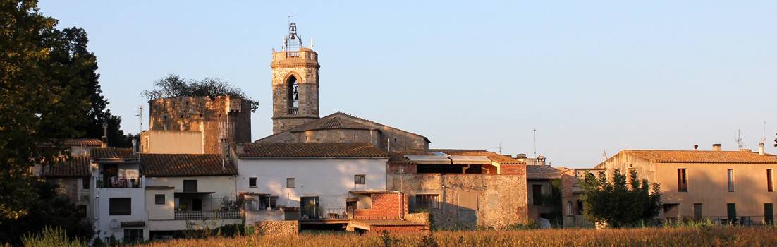 Quatre detinguts per segrestar i agredir greument un home a l'Alt Empordà a finals dels 2025