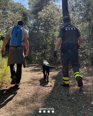 Els Agents Rurals activen quatre binomis canins més per fer front a la PPA