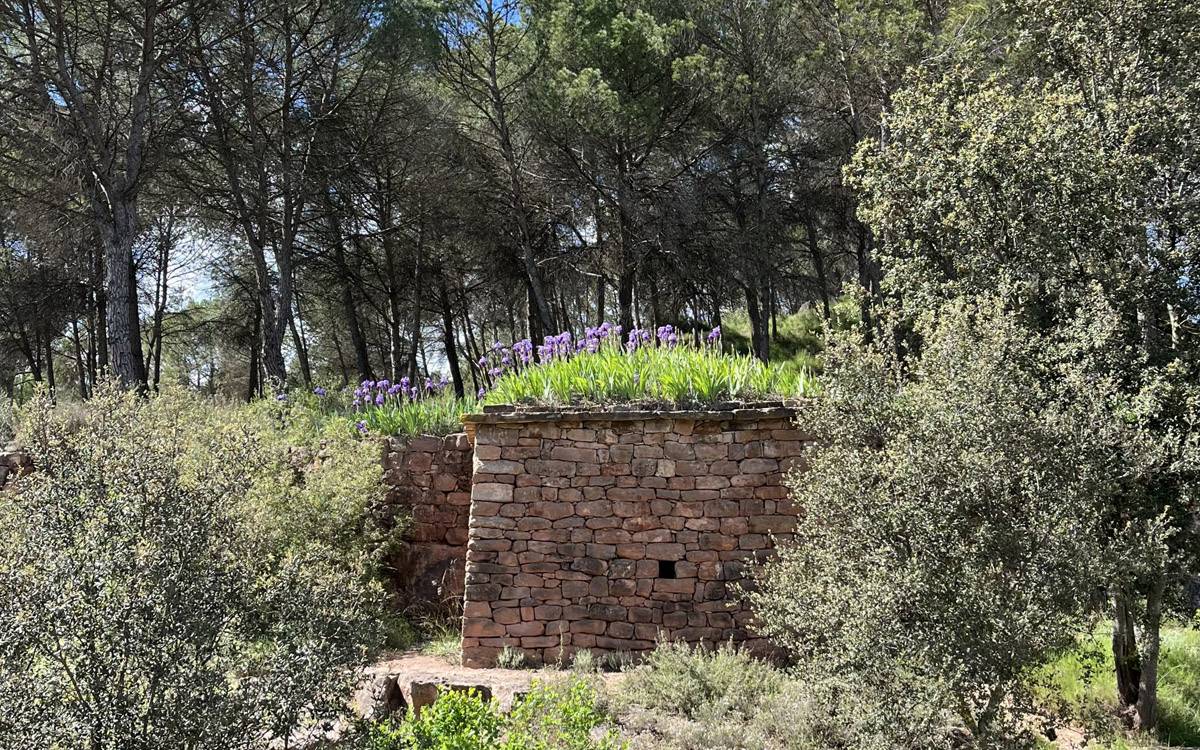 «Buffa!!!» portarà música i fantasia familiar al bosc de la Torre Lluvià