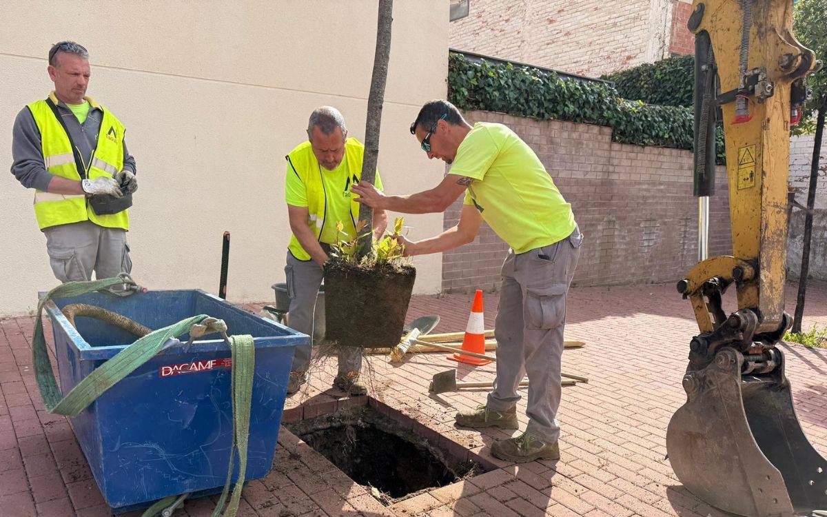 Culmina la primera gran plantació d'arbres del Pla Reus Respira