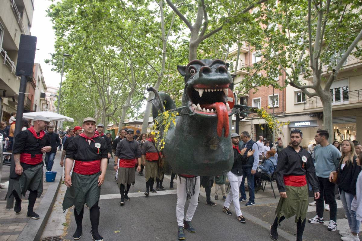Drac de Terrassa - NEBRIDI ARÓZTEGUI