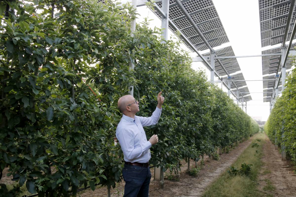 L'evolució de les energies renovables: plaques solars damunt de fruiters o a l'aigua
