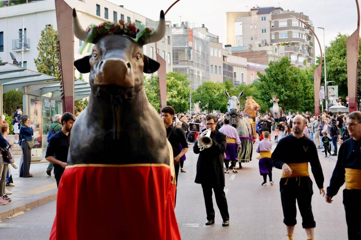 El Seguici de la Salut omple el Centre amb l’estrena del Bou i el retorn de les Granotes del Ripoll