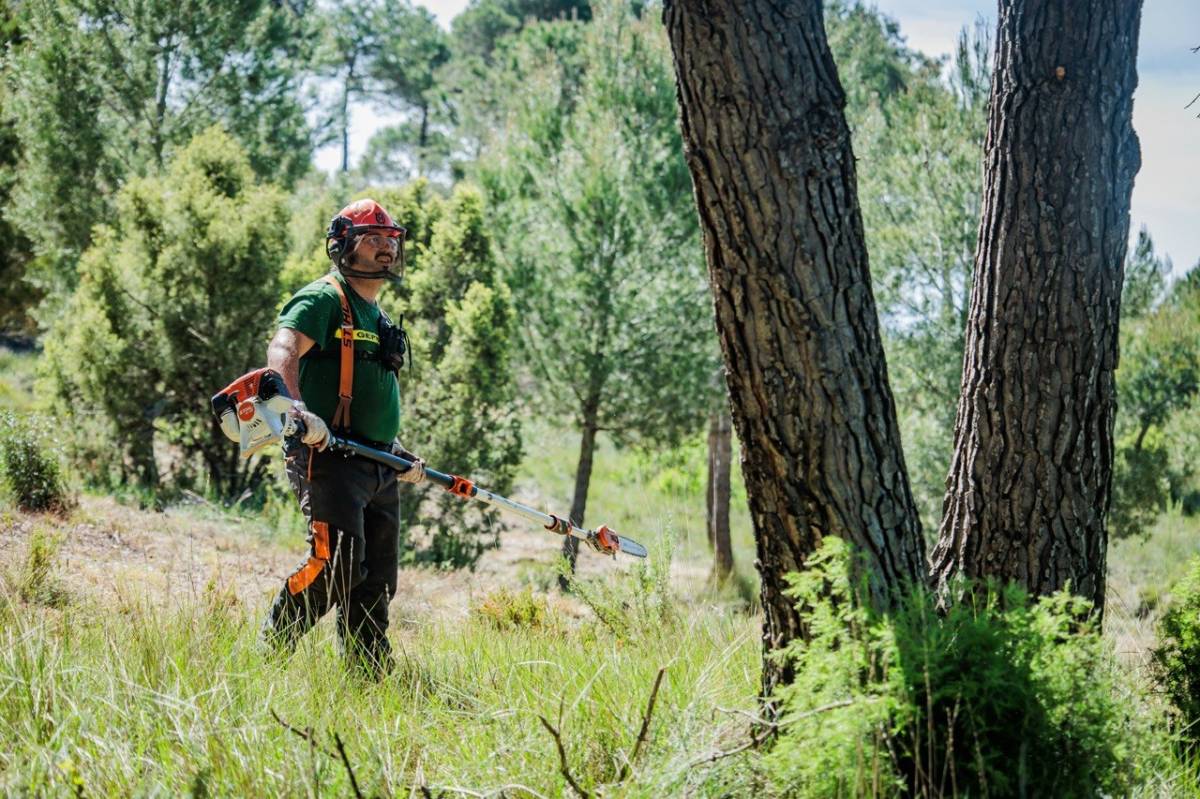Agricultura i Interior han prioritzat cinc zones per començar les actuacions - Cedida per Agricultura