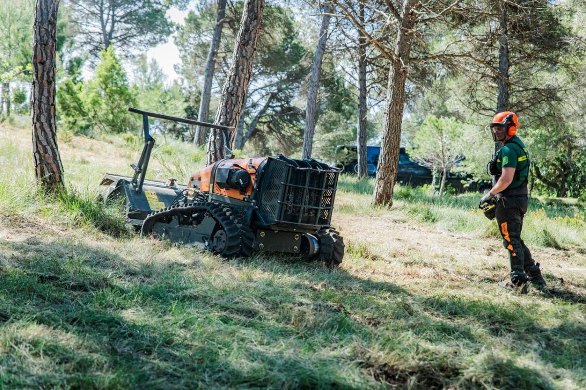 Ús de maquinària per reduir el combustible del sotabosc - Cedida per Agricultura