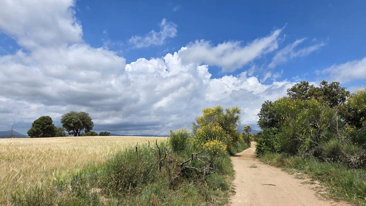 Alerta taronja del Meteocat per fortes tempestes
