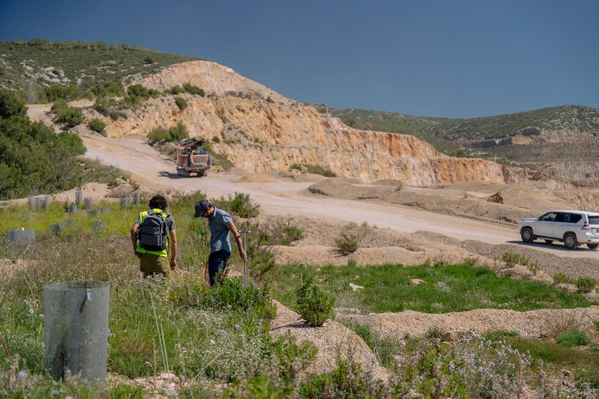 Com convertir mines i pedreres en illes de biodiversitat? Els científics ho tenen clar