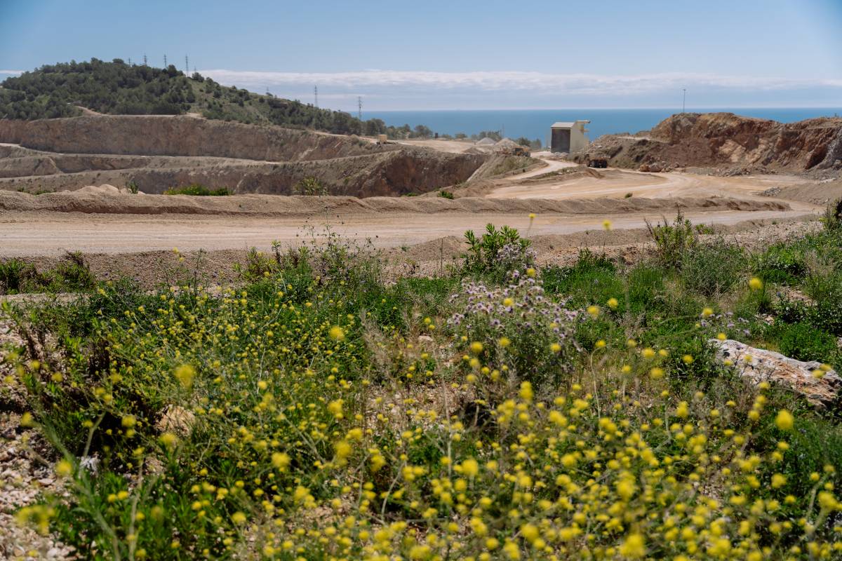 La restauració es realitza mentre continua l'extracció de roca calcària - Galdric Mossoll