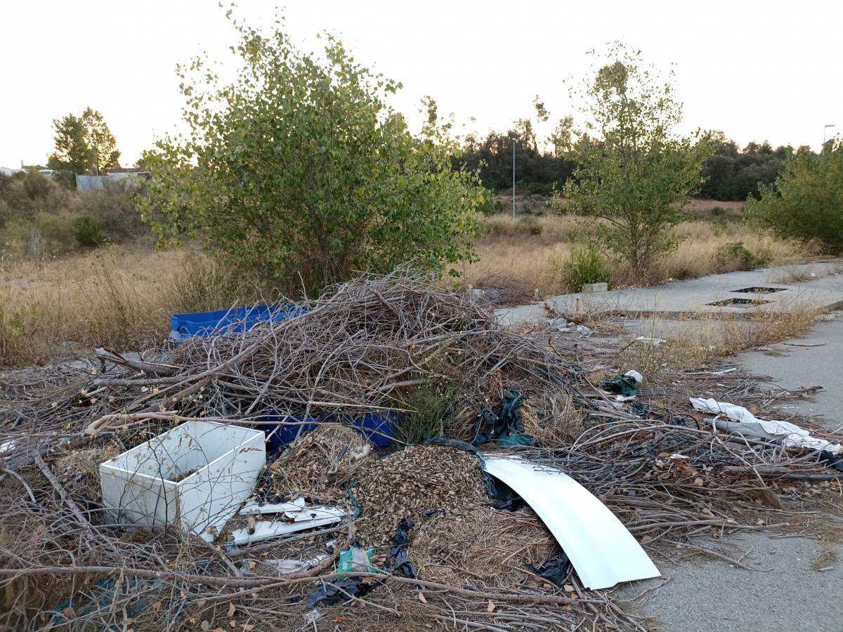 Gairebé 400 quilos de residus recollits en un dia als entorns de Castellar