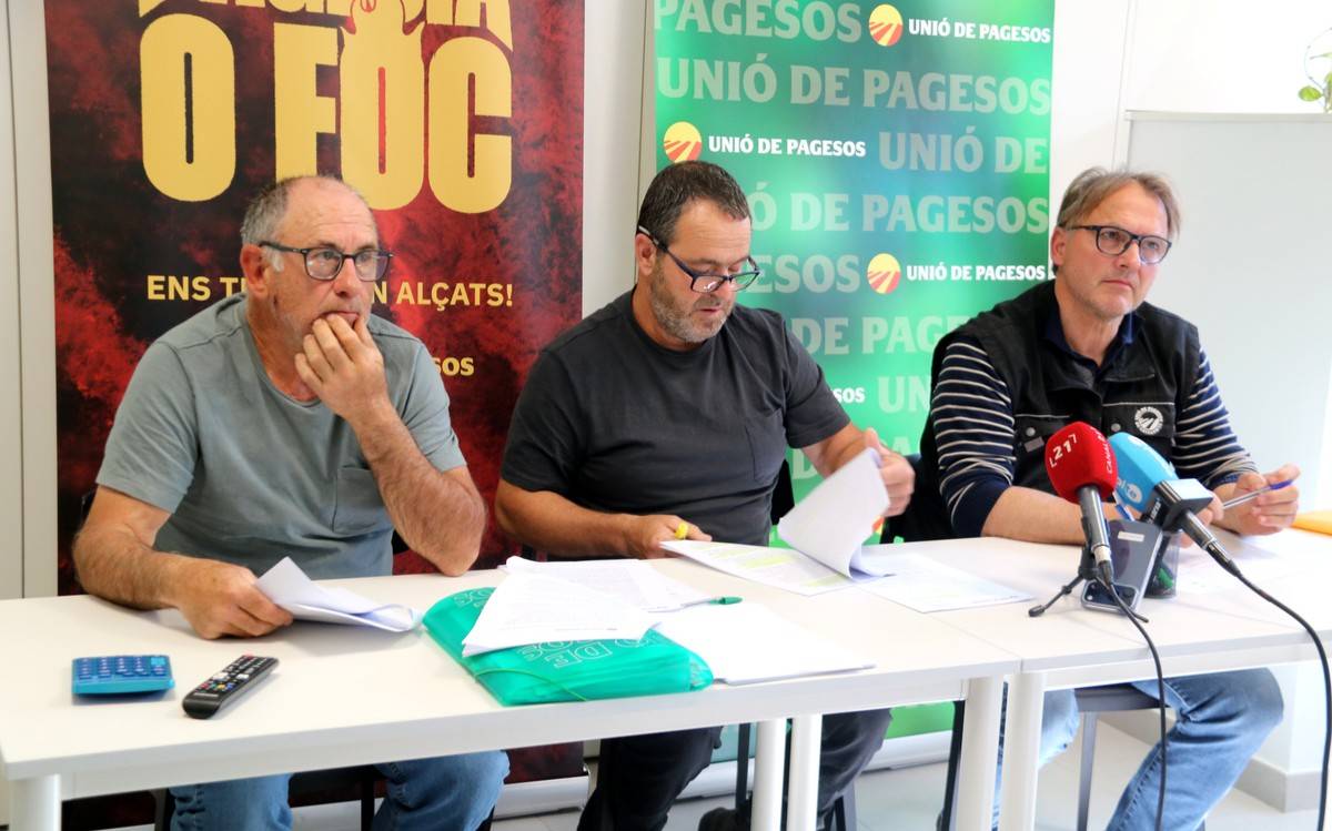 El pla de control dels senglars a l'Ebre per la tuberculosi arriba tard i amb mancances, segons Unió de Pagesos