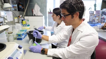 El remei definitiu contra la celiaquia? Creen una molècula que degrada el glúten