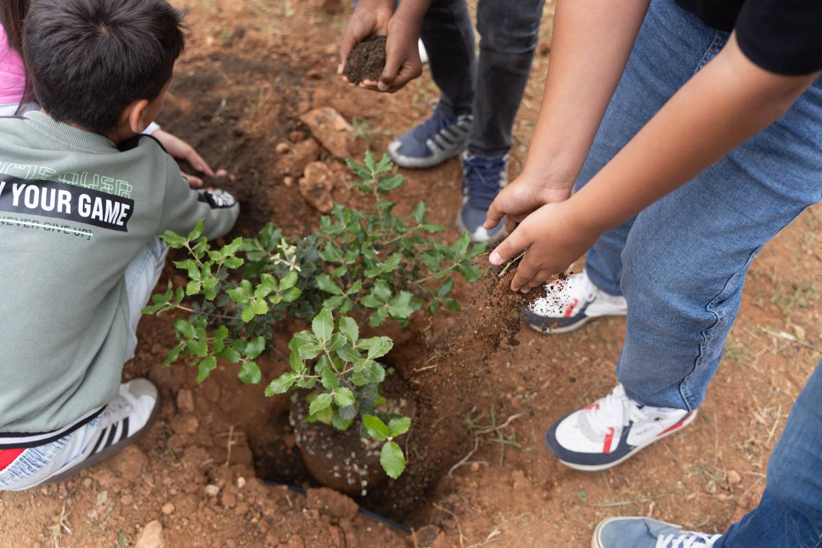 Infants plantant arbres al Poblenou - David Chao