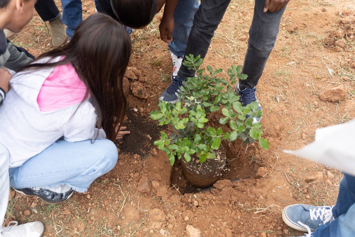 Infants plantant arbres al Poblenou - David Chao