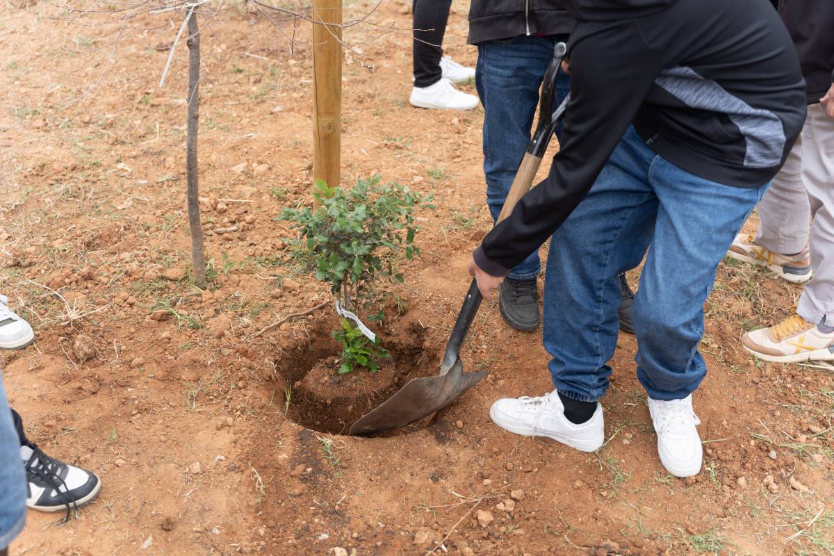 Infants plantant arbres al Poblenou - David Chao