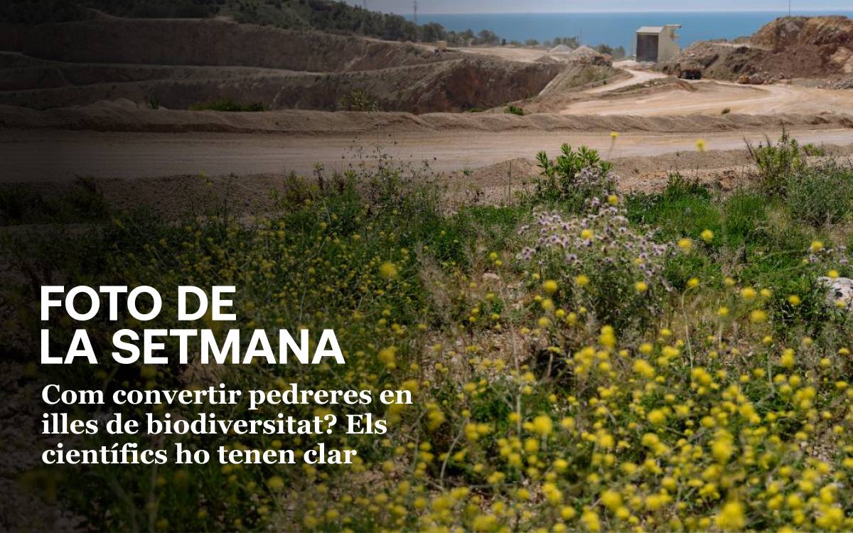 Foto de la setmana: pedreres que es converteixen en illes de biodiversitat