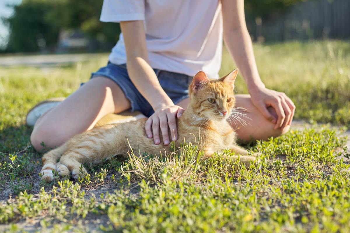 La recomanació d'un veterinari per millorar la relació amb les nostres mascotes