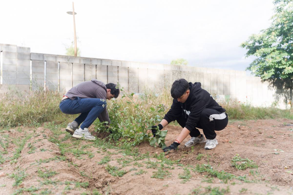 L'Associació de Veïns de Campoamor i estudiants del Ribot i Serra col·laboren junts en l'hort de l'institut - David Chao
