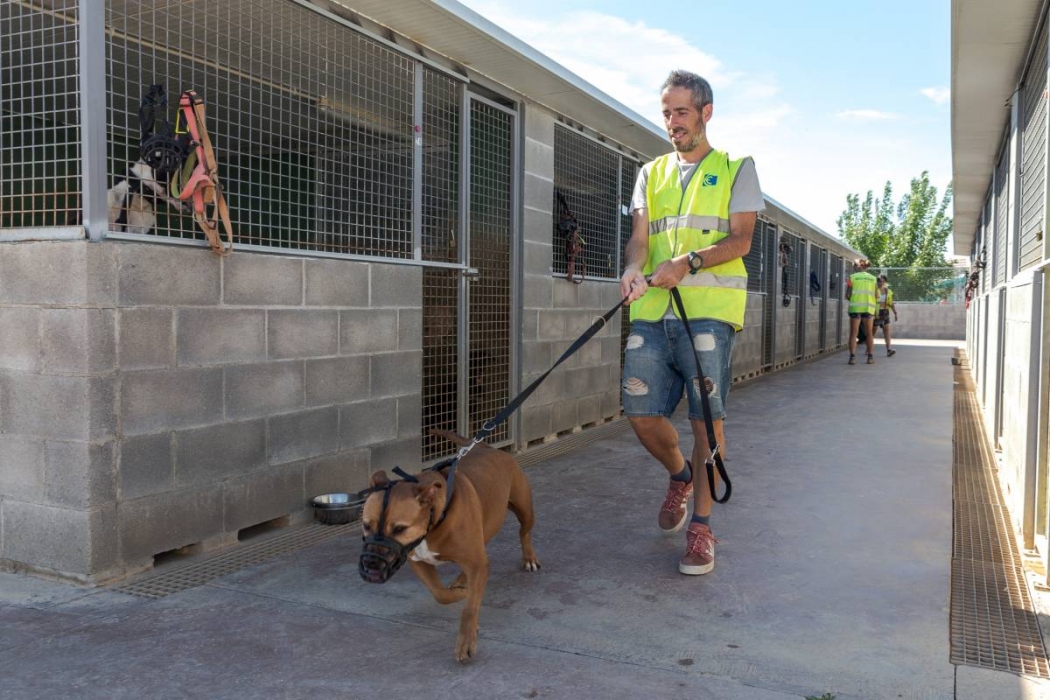 El CAAD de Terrassa canvia el nom i la imatge
