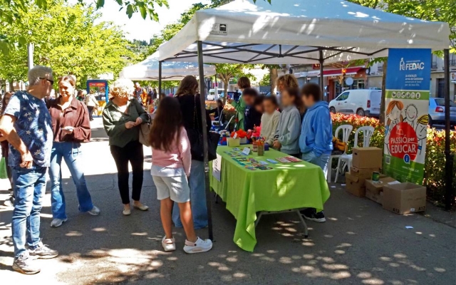 Súria celebra una nova edició del Mercat de Cooperatives Escolars