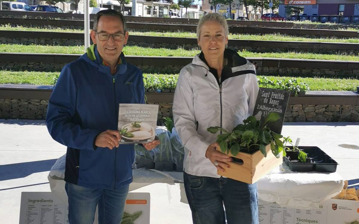 Sant Fruitós reparteix 900 planters d'albergínia blanca al Mercat de la Terra