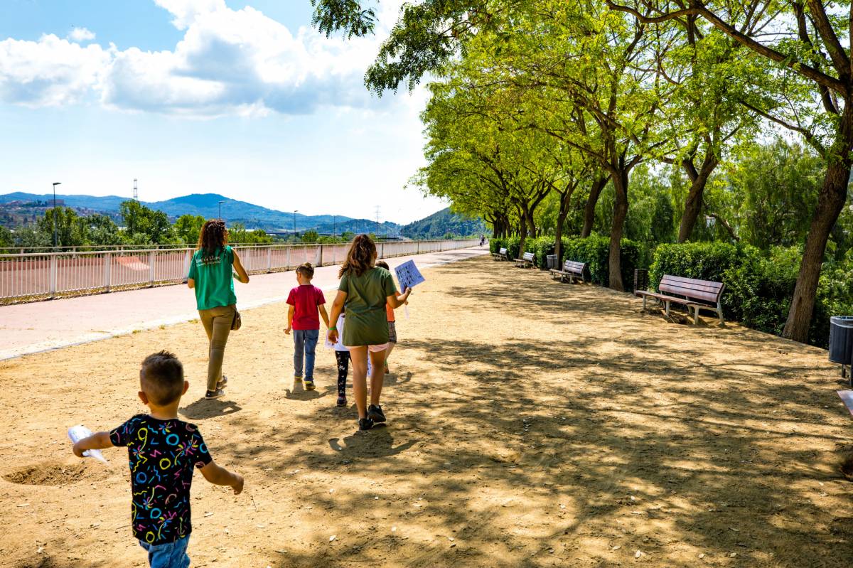 Un cap de setmana per descobrir la natura amagada a l'àrea de Barcelona: d'hotels d'insectes a dunes a les platges