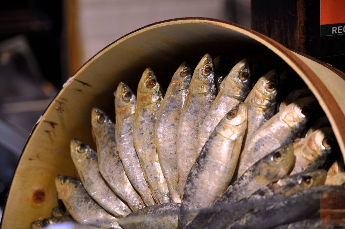 Les sardines i la tonyina en llauna canvien de nom: els canvis de la nova normativa del BOE