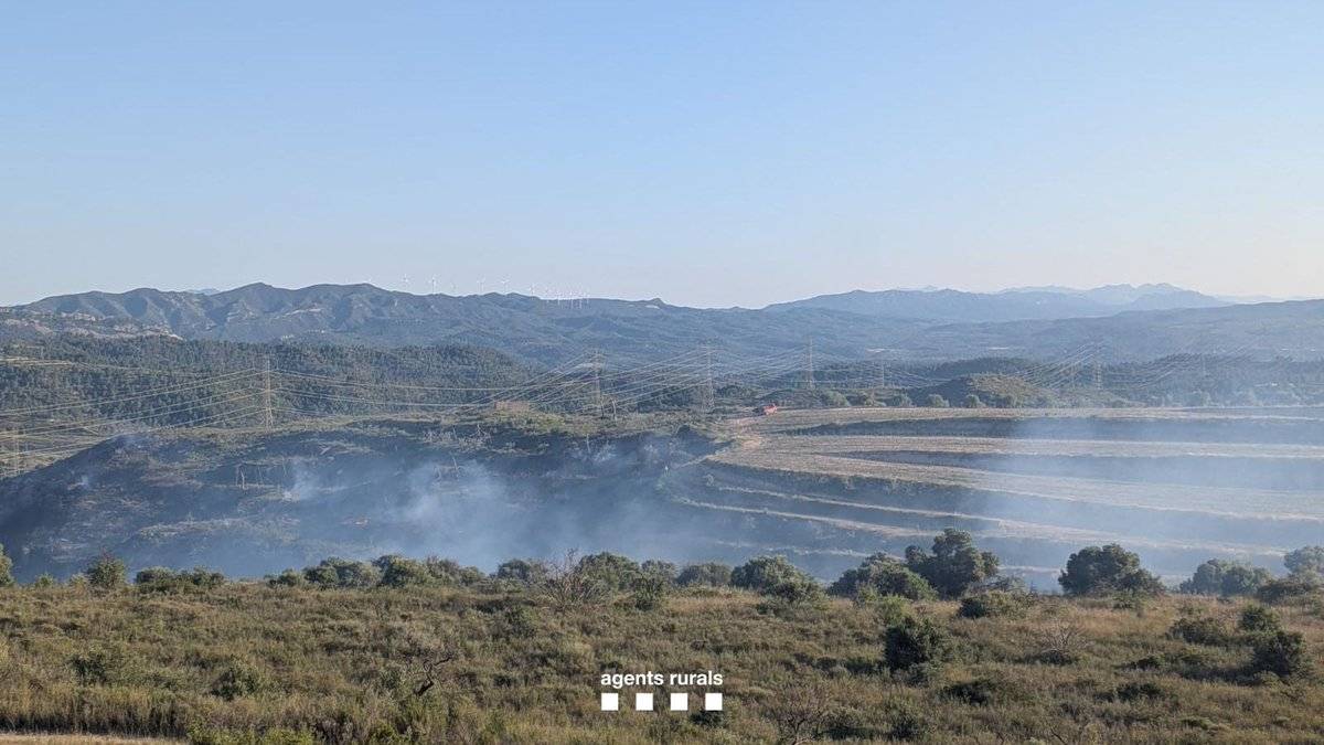 L'incendi de vegetació a Vinebre afecta 12 hectàrees i deixa un ferit lleu