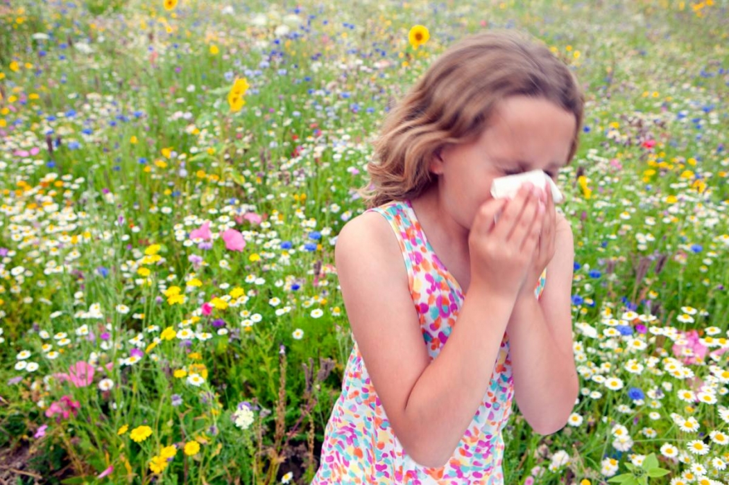 Guia ràpida d'al·lèrgies típiques de la primavera