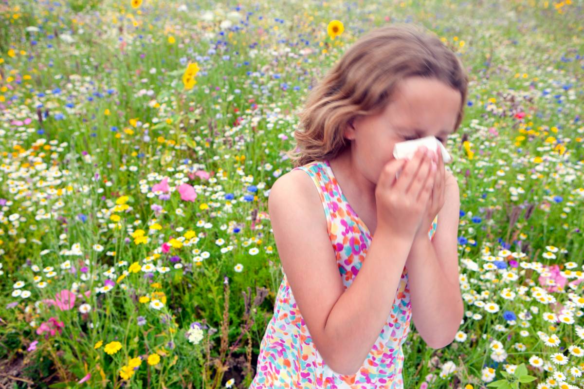 Guia ràpida d'al·lèrgies típiques de la primavera