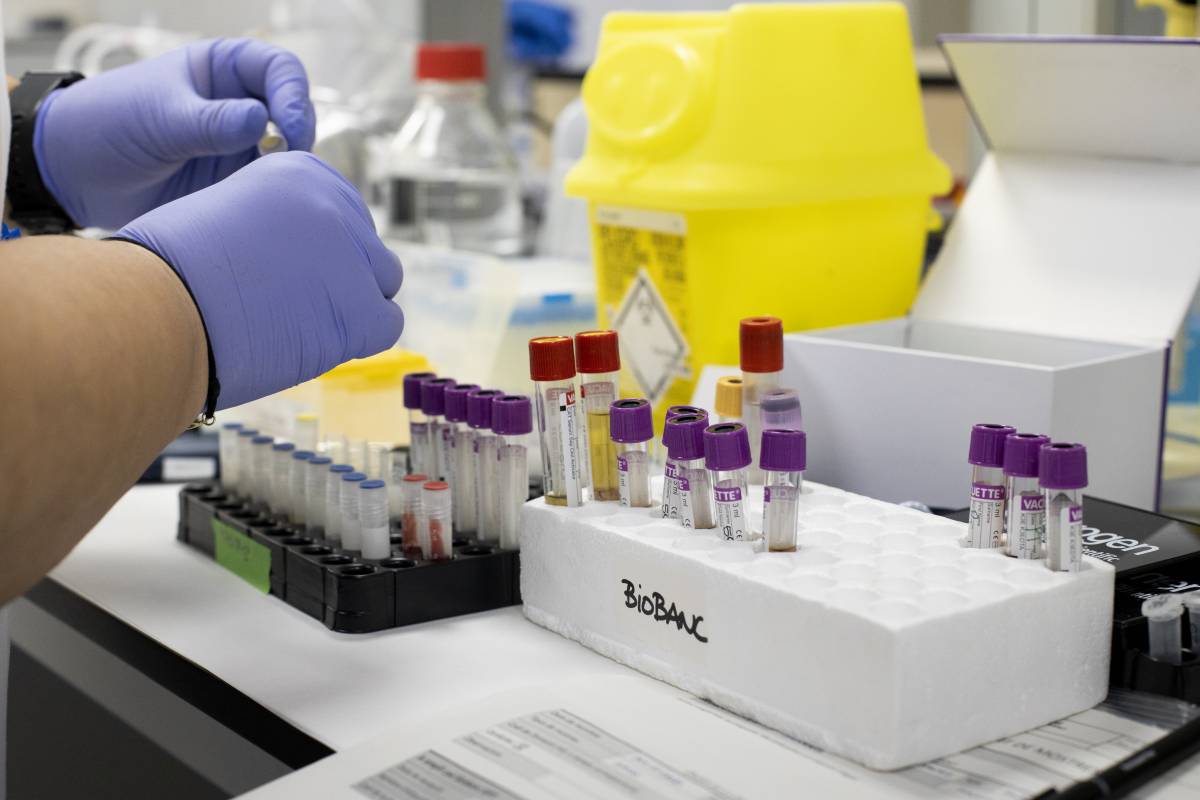Una imatge de detall d`una treballadora del laboratori del Taulí - DS Una imatge de detall d`una treballadora del laboratori del Taulí