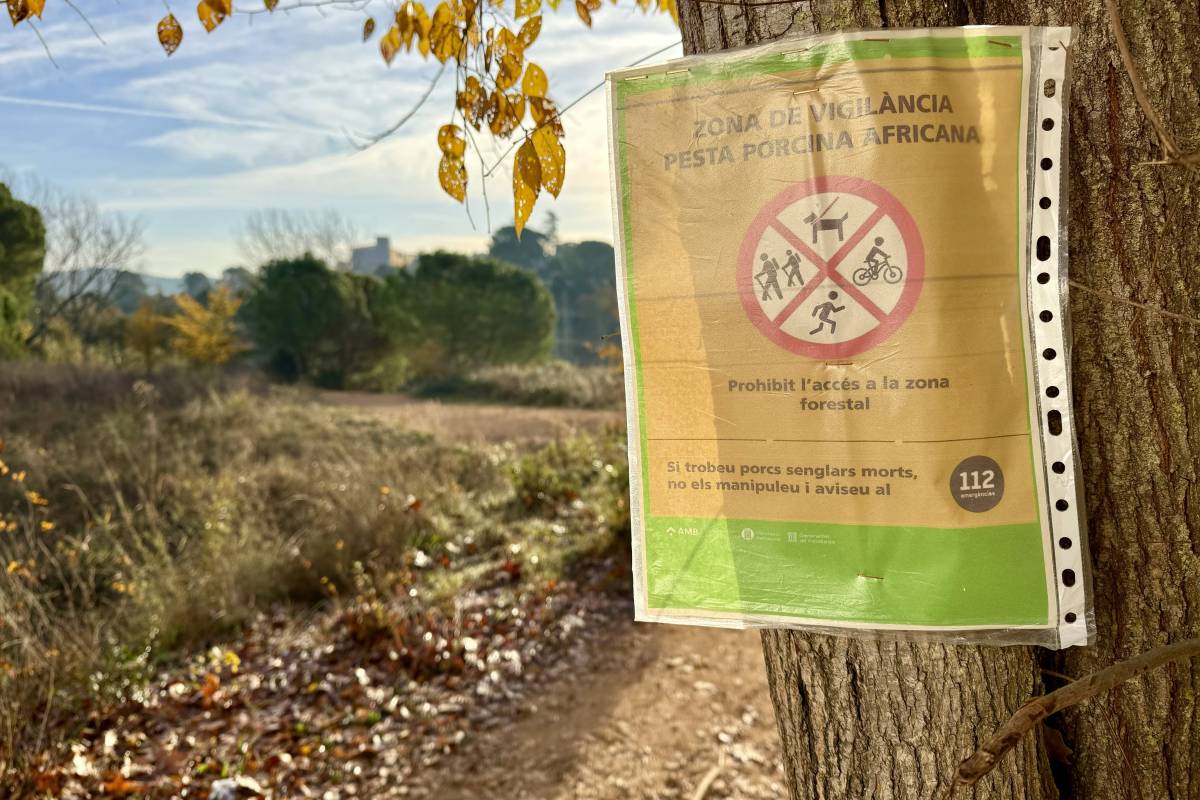 Agricultura es reunirà amb Sant Cugat per abordar una «alternativa» a les restriccions per la PPA