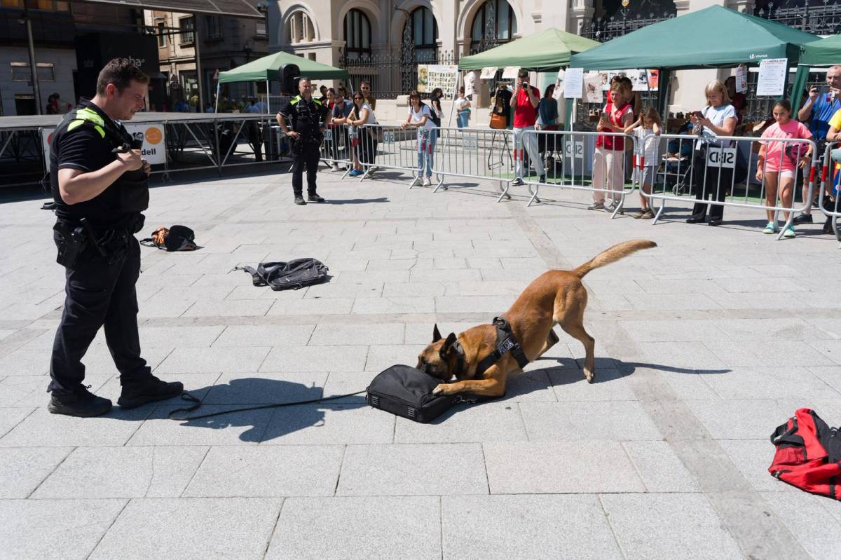 La Festa dels GPPs reivindica a Sabadell una segona oportunitat pels gossos estigmatitzats