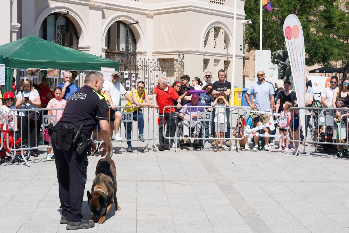 L’exhibició de la unitat canina K9 de la Policia Municipal de Sabadell - DAVID CHAO L’exhibició de la unitat canina K9 de la Policia Municipal de Sabadell