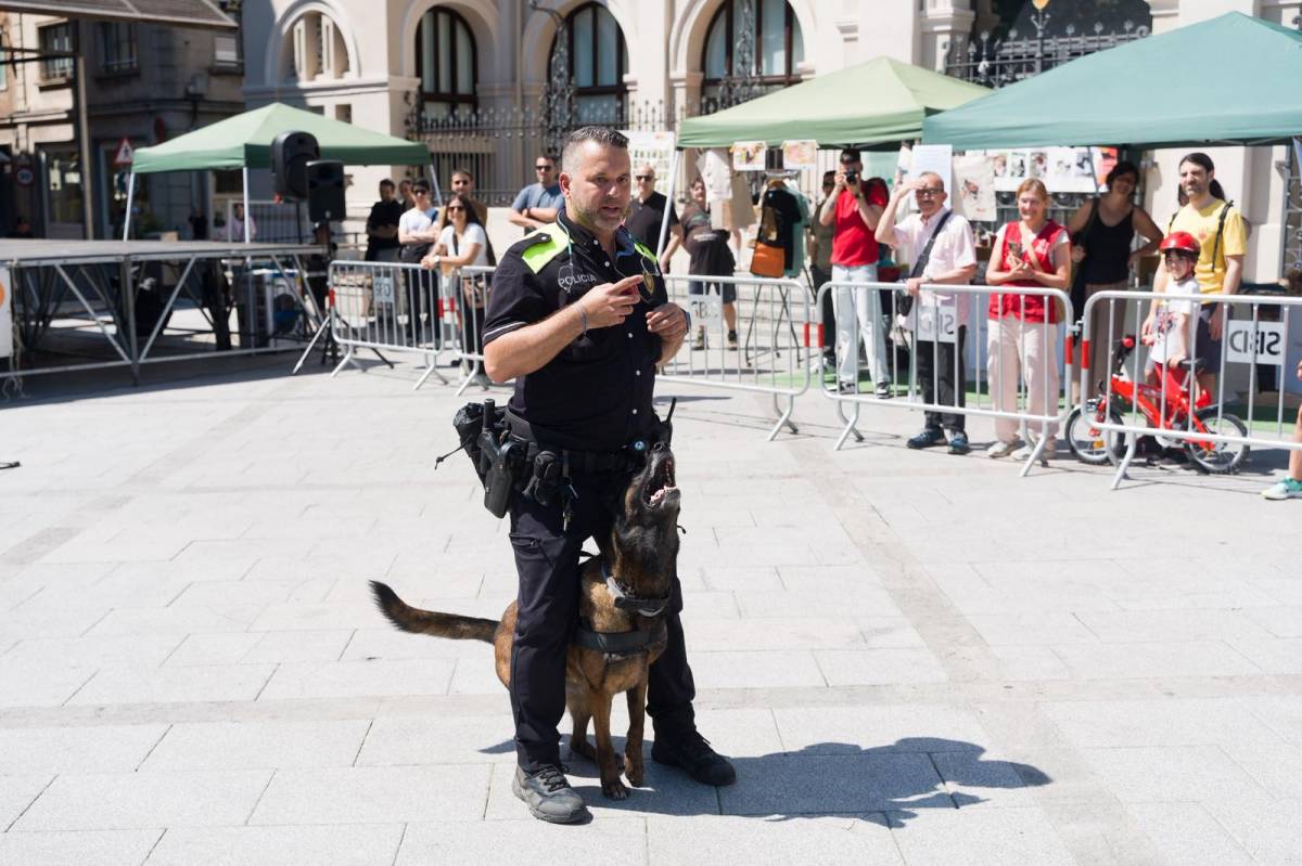 L’exhibició de la unitat canina K9 de la Policia Municipal de Sabadell - DAVID CHAO L’exhibició de la unitat canina K9 de la Policia Municipal de Sabadell