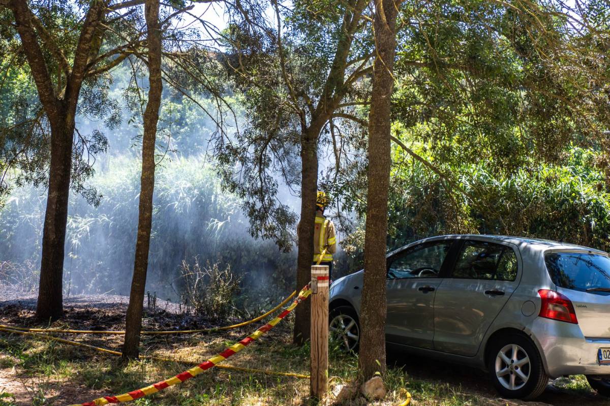 Incendi de vegetació a Can Puiggener - JUANMA PELÁEZ Incendi de vegetació a Can Puiggener