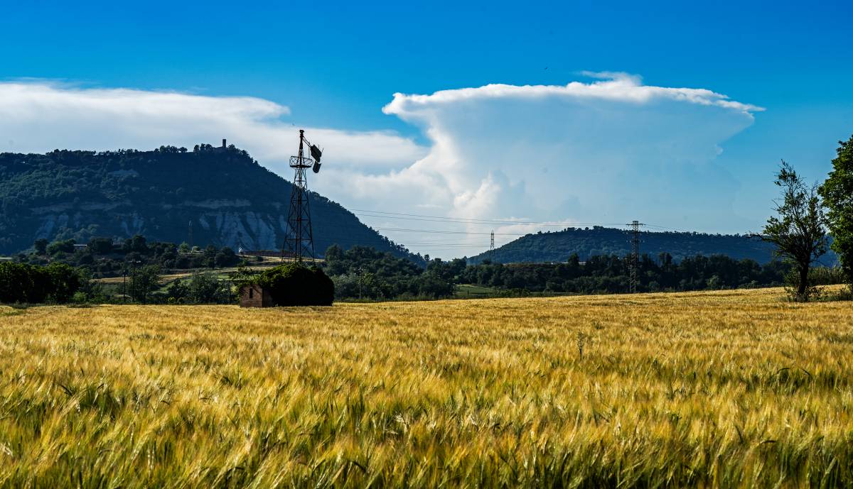 El temps d’aquest dilluns: ambient estable i màximes de fins a 35 graus