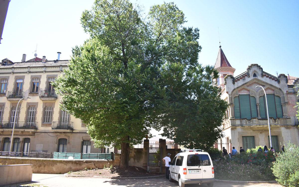 Manresa modifica el mur del Casino per preservar un om singular de més de 40 anys