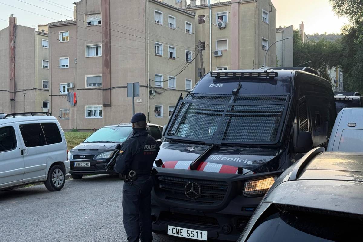 Operatiu policial a Girona i altres municipis per desmantellar un grup criminal dedicat al tràfic de marihuana