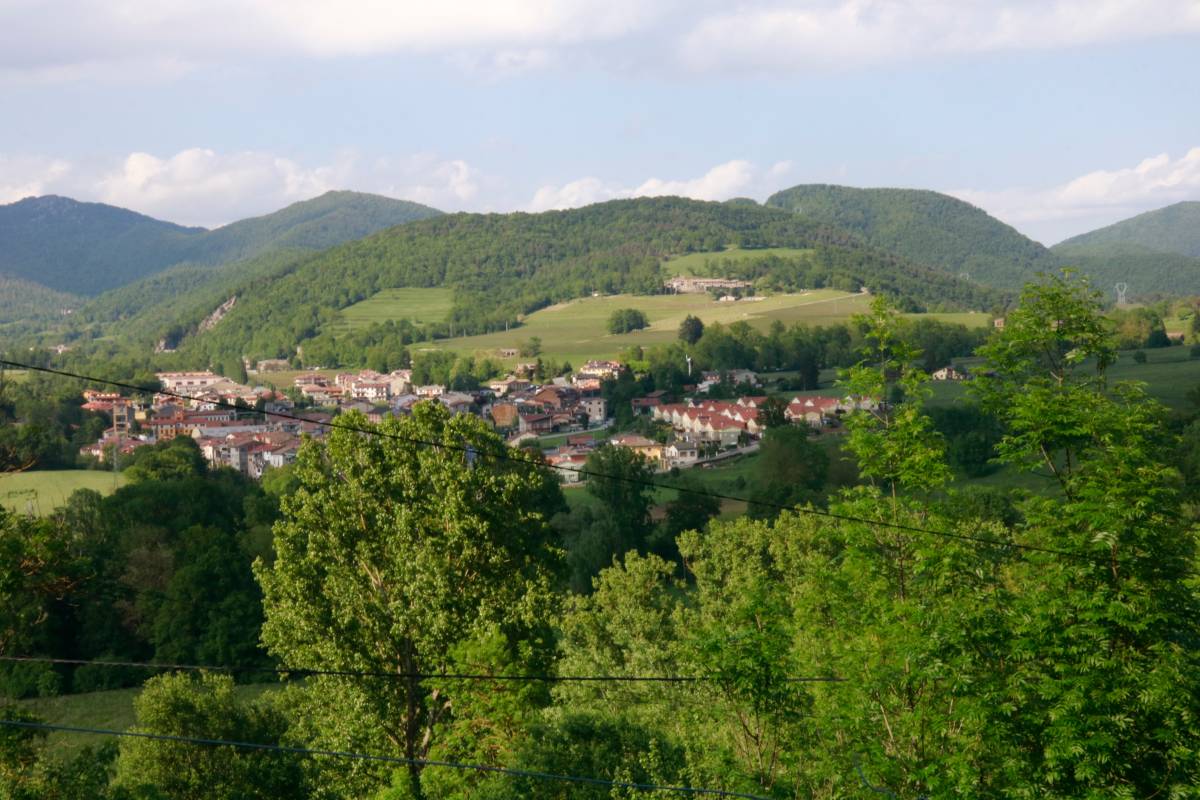 La Vall de Camprodon impulsa un pla conjunt per «ordenar» els boscos i facilitar-ne la gestió