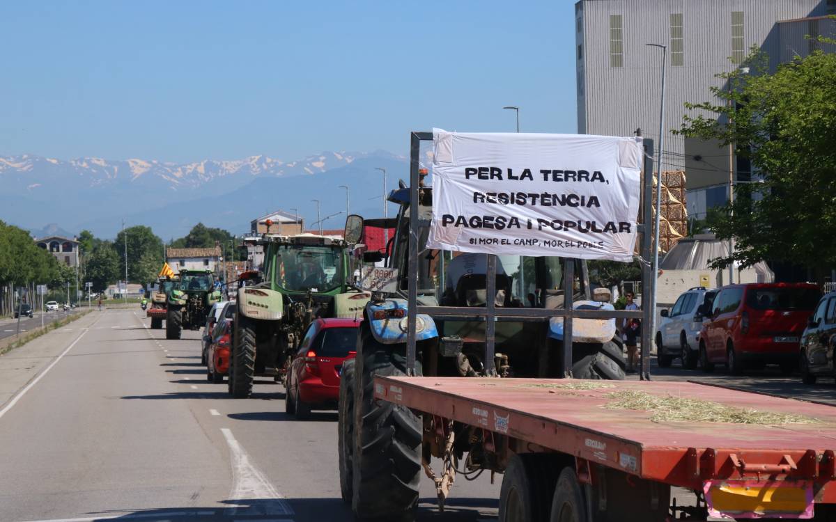 Mobilització a Vic per qüestionar el Plater.