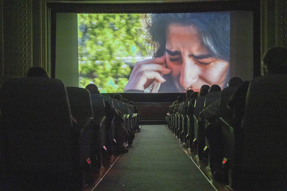 Terrassa exhibeix el seu jove talent audiovisual