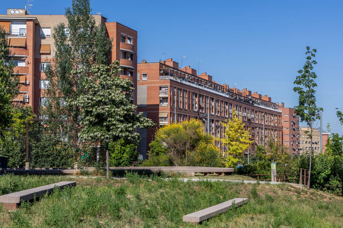 “Els arbres estan infestats de cotxinilla”