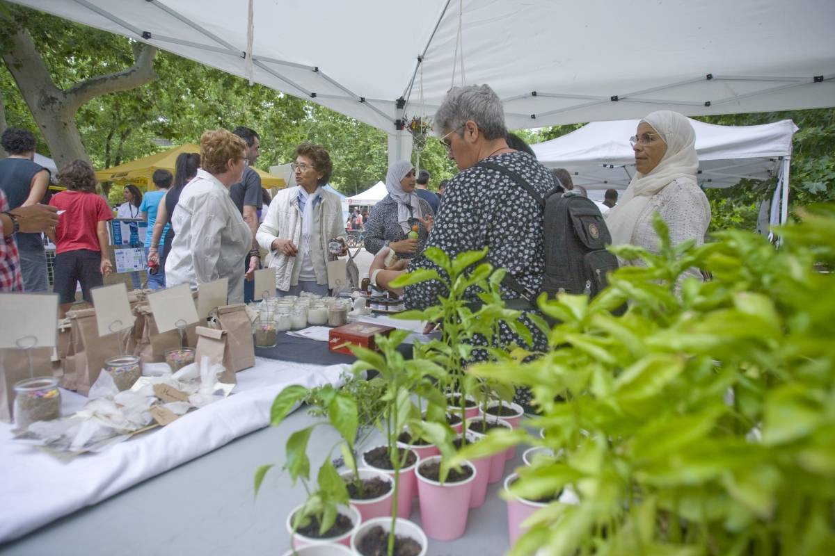 Terrassa posa l'educació ambiental al centre de la 35a Setmana del Medi Ambient