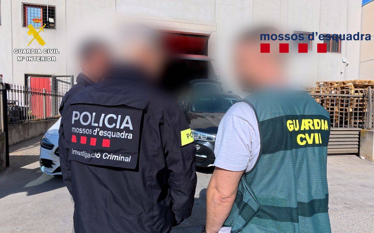 Desarticulen a Tarragona una trama d'empreses que subministrava material per a grans plantacions de marihuana